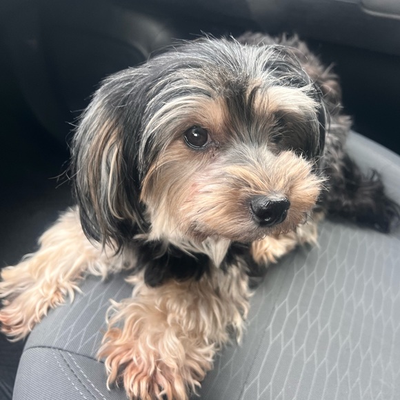 My greatest Blessing is my Family - Picture 12 of 13